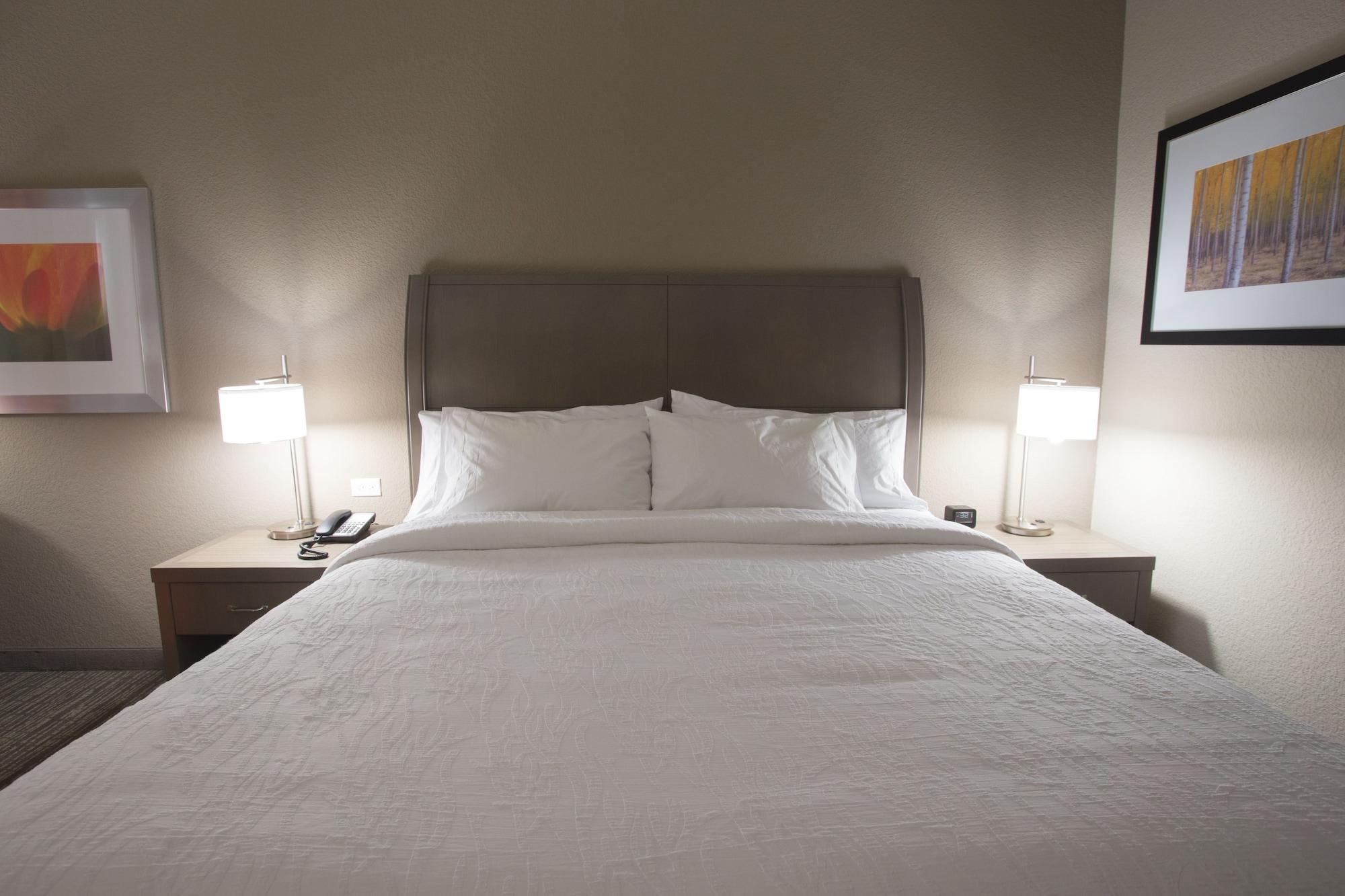Hilton Garden Inn Bolingbrook I-55 Екстер'єр фото
