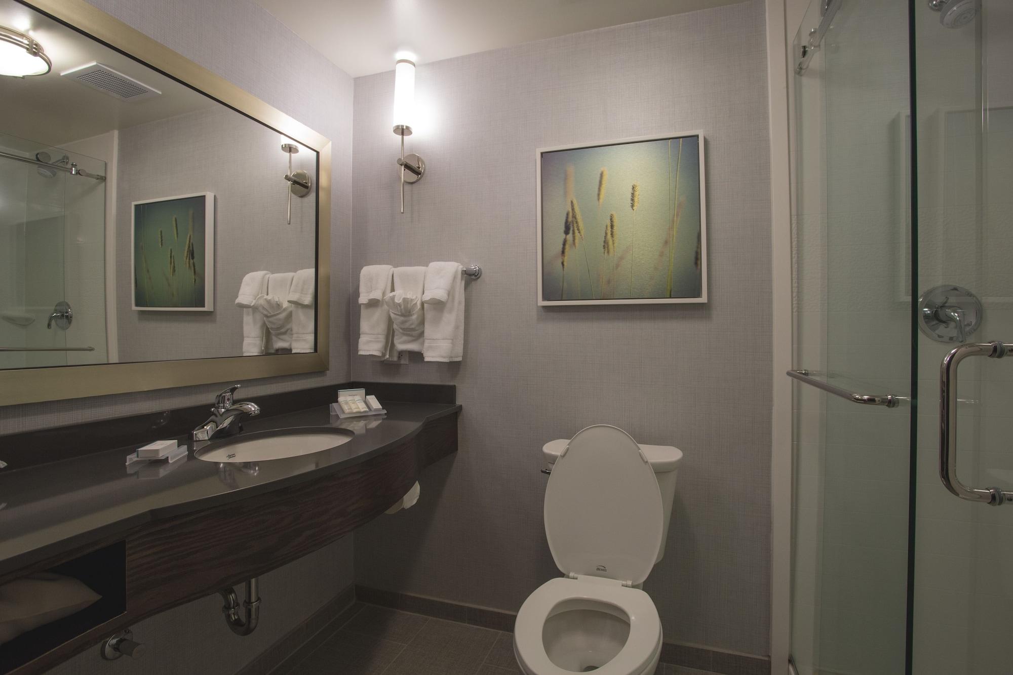Hilton Garden Inn Bolingbrook I-55 Екстер'єр фото